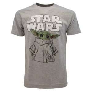 Star Wars: The Mandalorian - SWM2