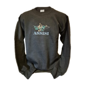 Felpa "Assisi in musica"